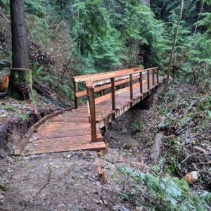 Meet your Posher, Antoinette